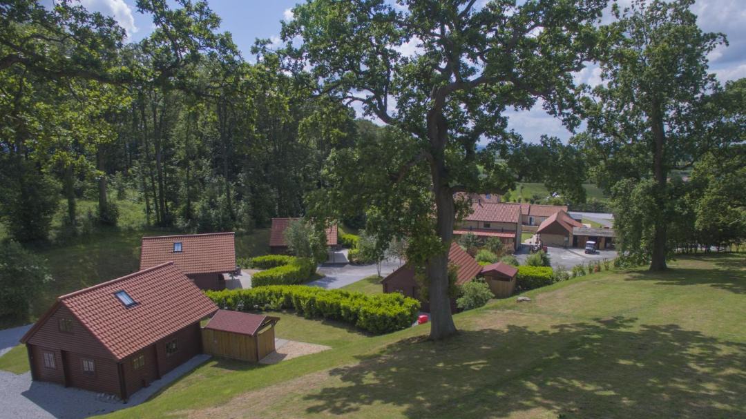 Photo of Others in Pickering