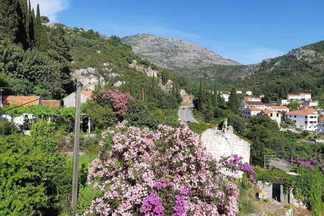 Photo of Others in Slano