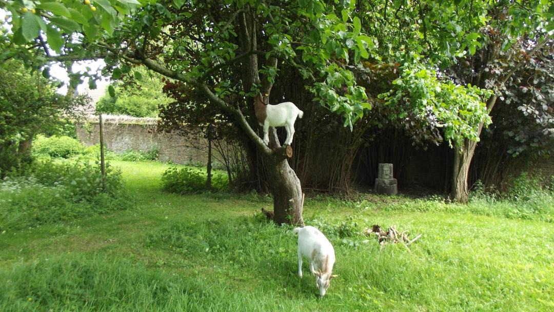 Photo of Others in Ferfay