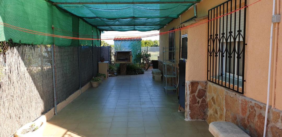 Photo of Others in Oliva