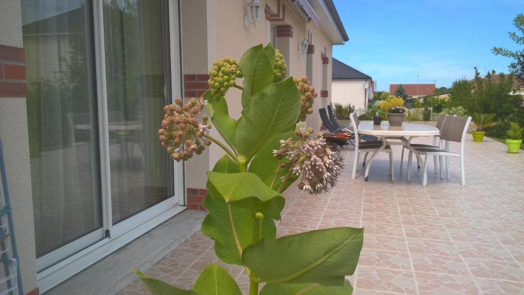 Photo of Patio Balcony in Vertus