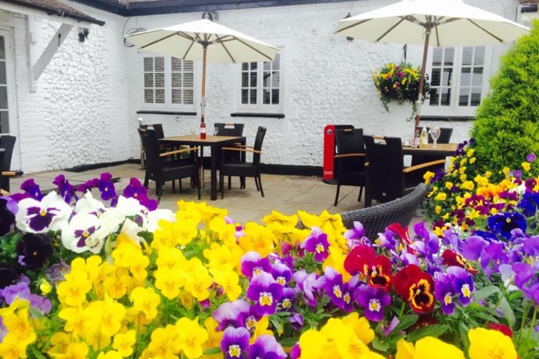 Photo of Others in St Albans