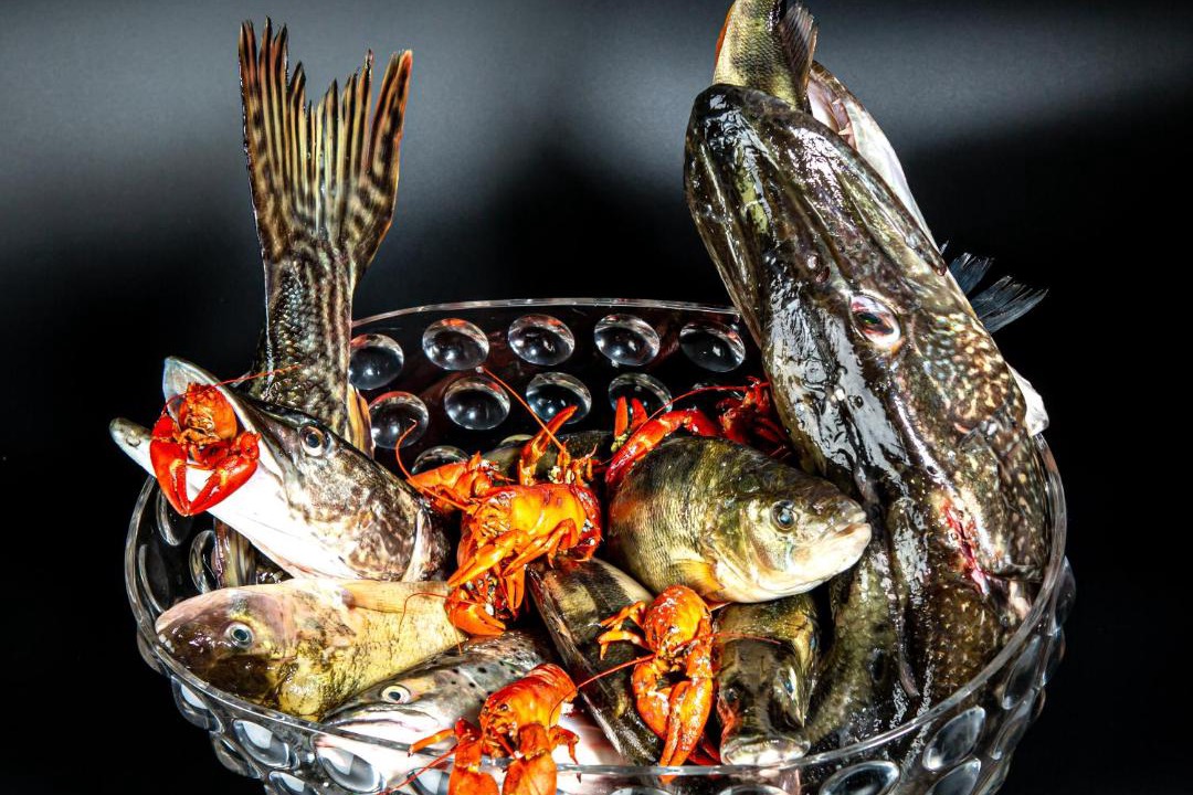 Photo of Others in Yvoire