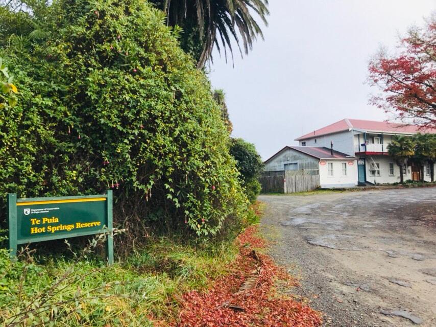 Photo of Others in Te Puia