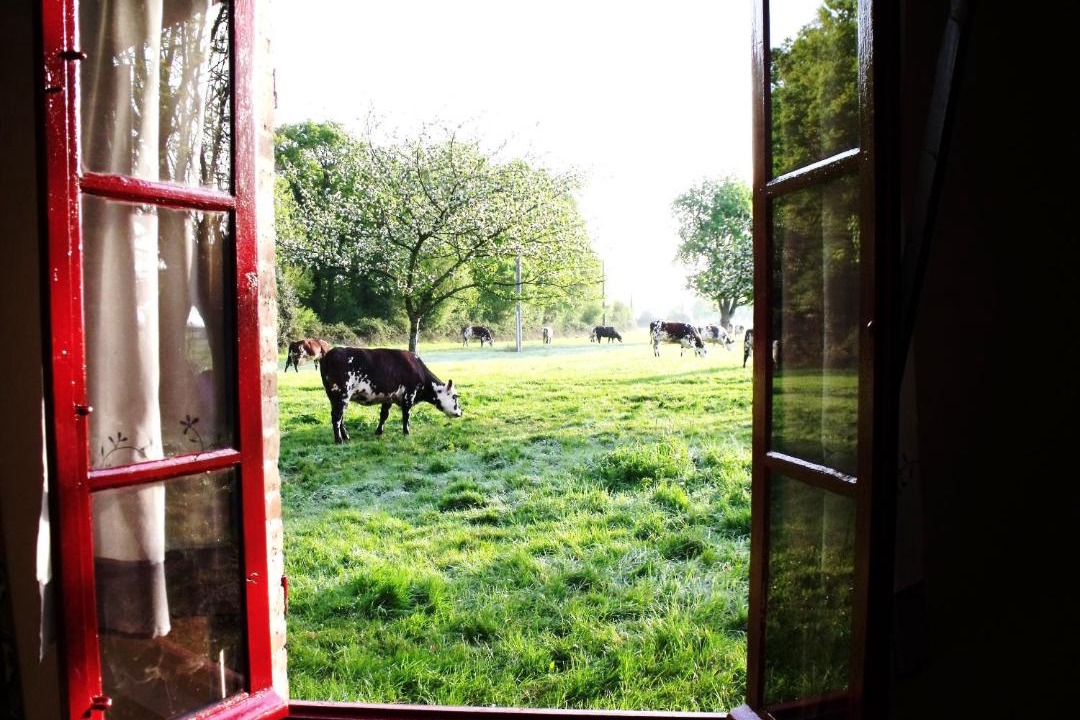 Photo of Others in Saint-Aubin-de-Bonneval