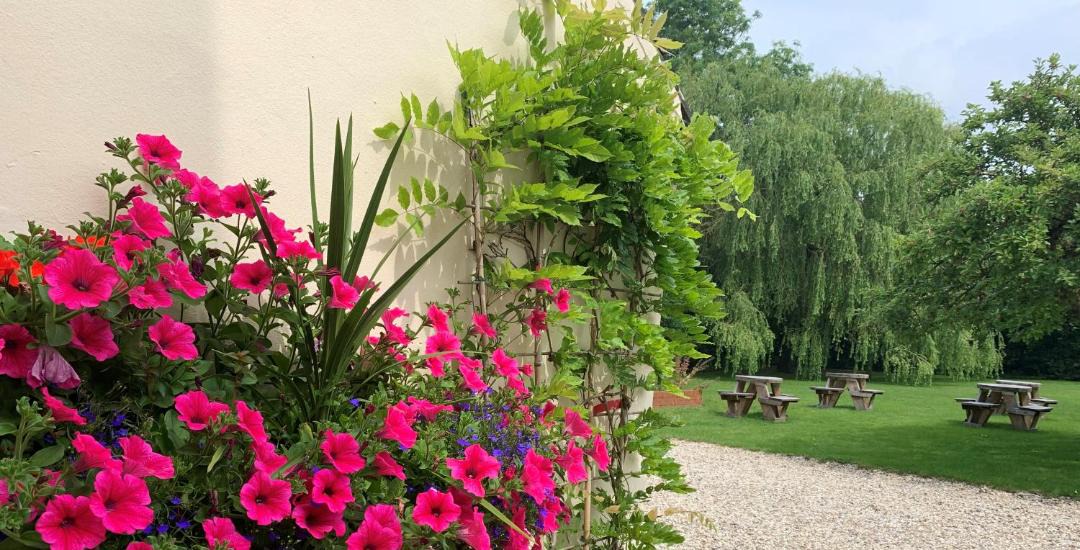 Photo of Others in Cheltenham