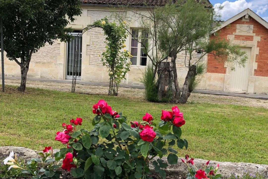 Photo of Buildings in Mesnac