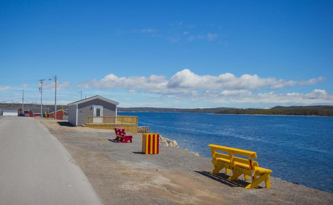Photo of Others in Port Saunders