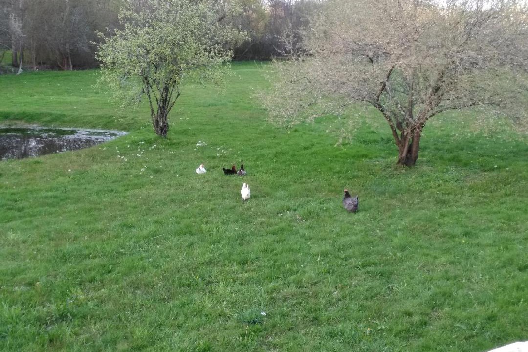 Photo of Others in Sablons