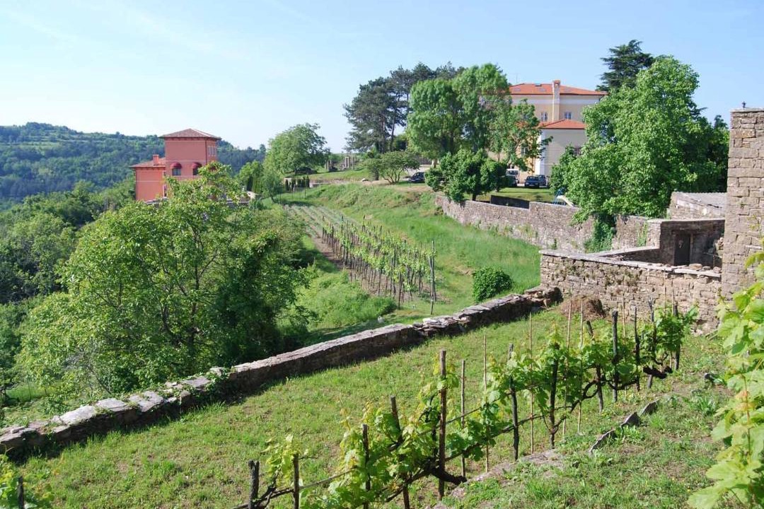 Photo of Others in Oprtalj