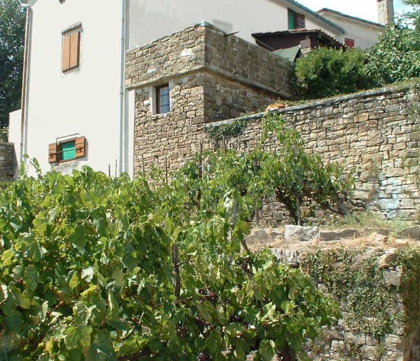 Photo of Buildings in Oprtalj