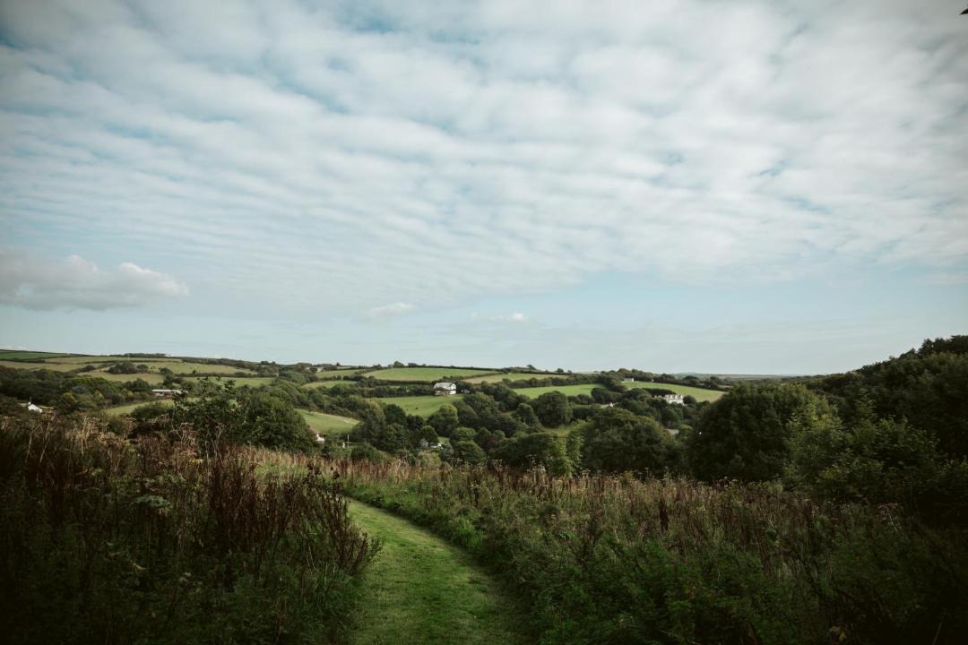 Photo of Others in Bude