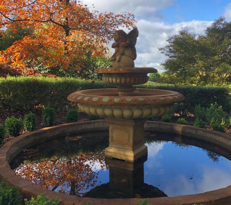 Photo of Others in Olinda