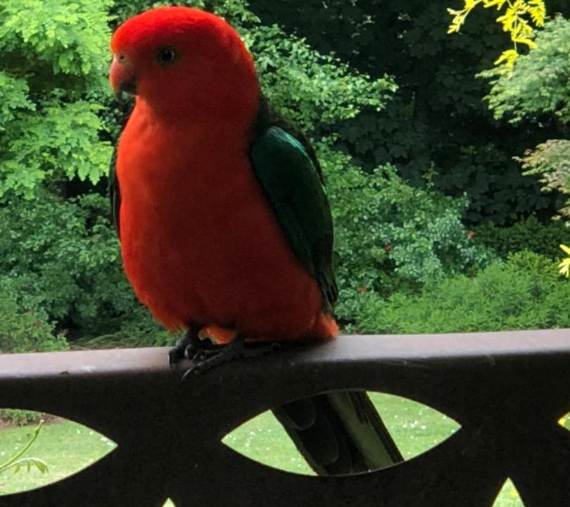 Photo of Others in Olinda