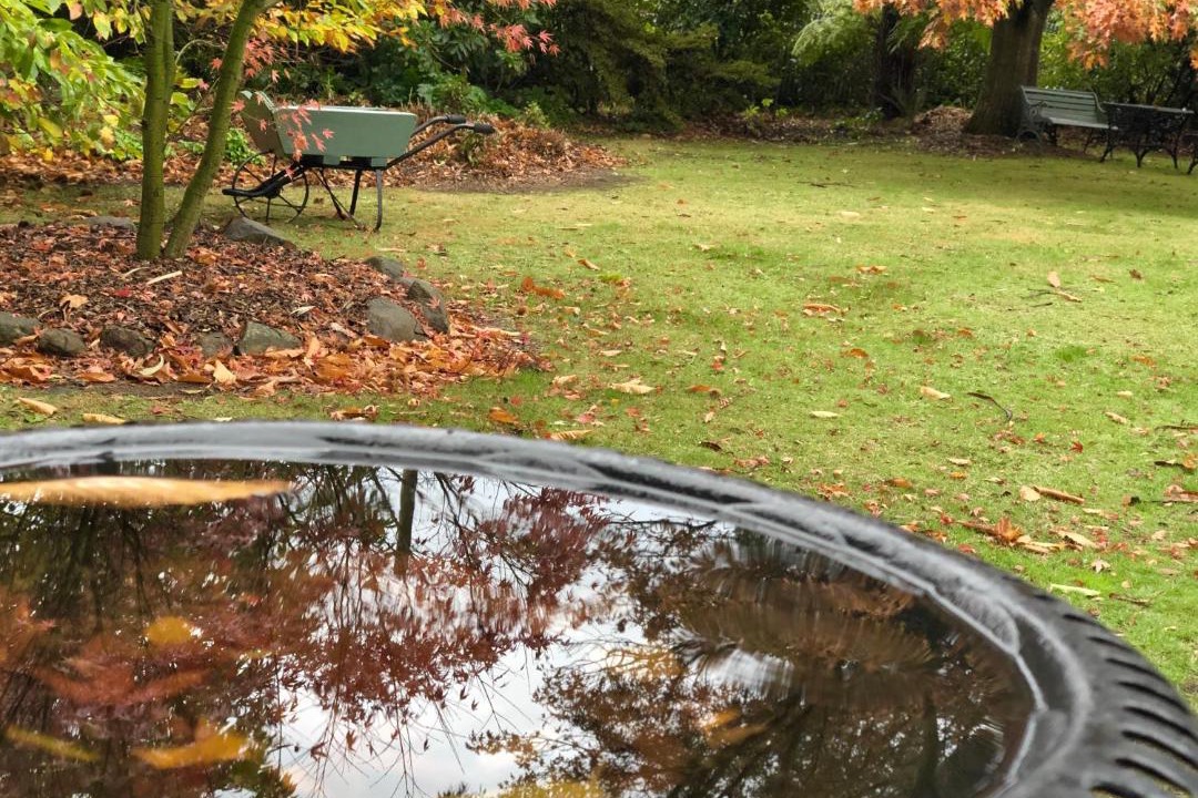 Photo of Others in Olinda