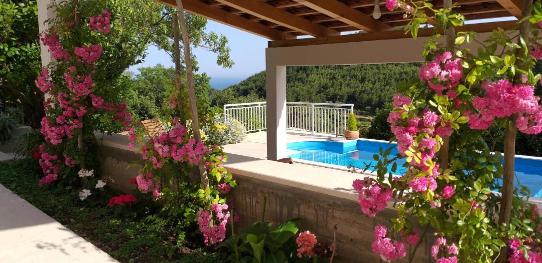 Photo of Outdoor in Mljet