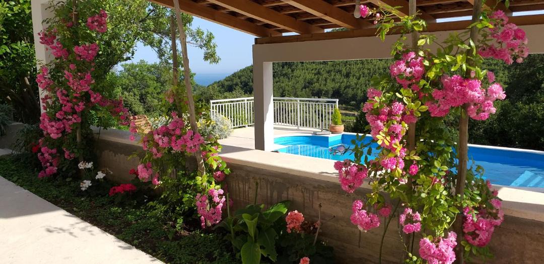 Photo of Outdoor in Mljet