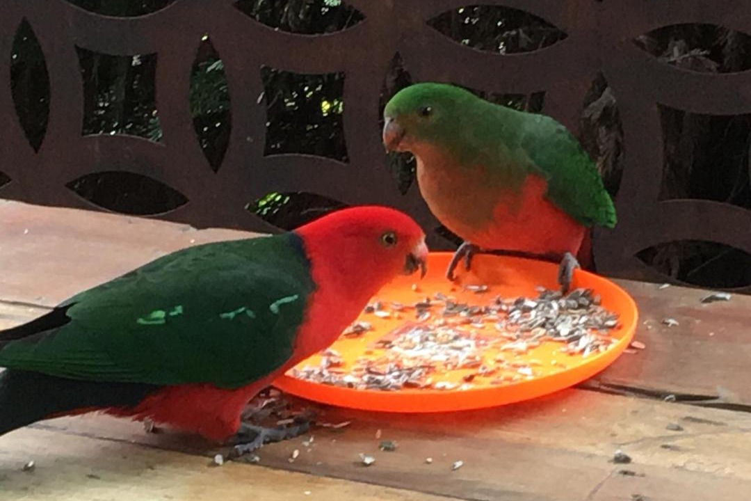 Photo of Others in Olinda