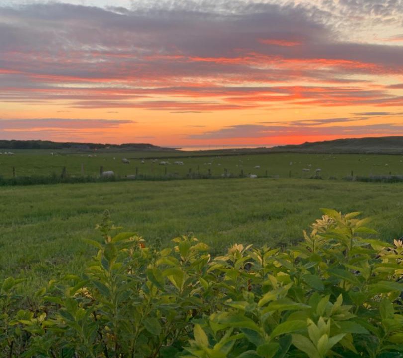 Photo of Others in Hunspow