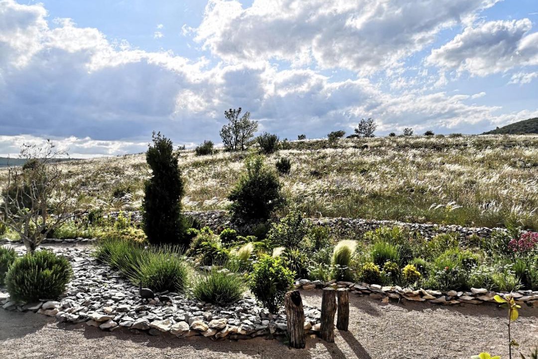 Photo of Others in Ongles