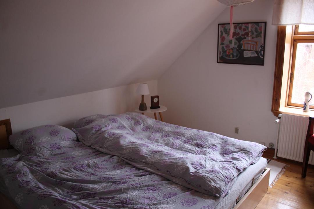 Photo of Others in Borup