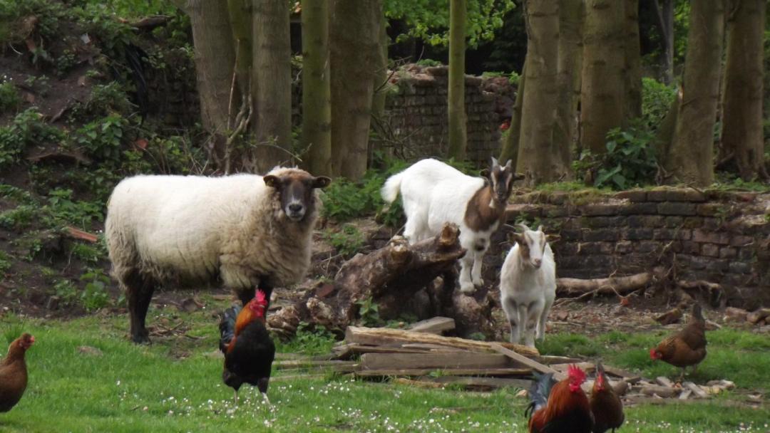 Photo of Others in Ferfay