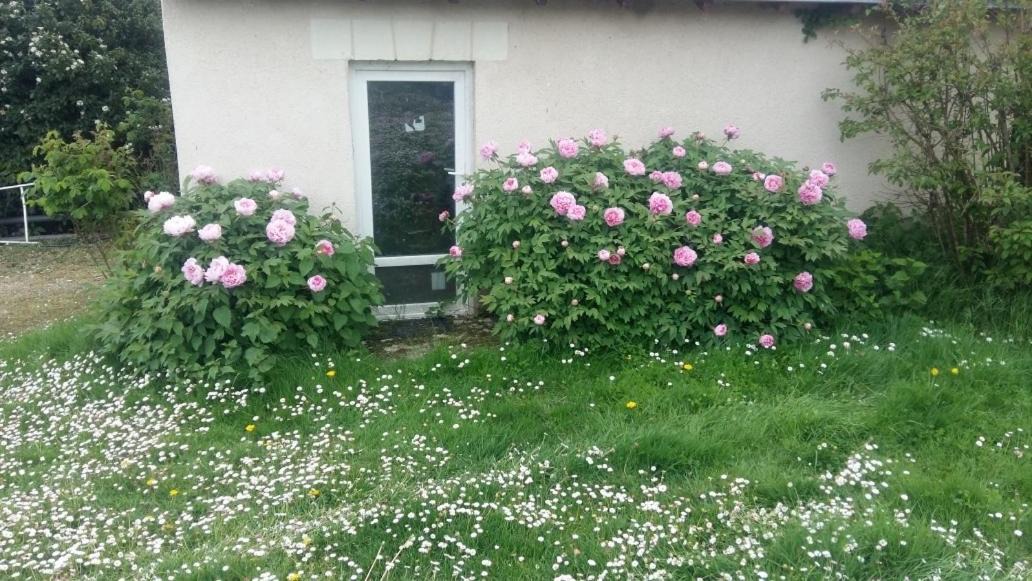 Photo of Others in Monthodon