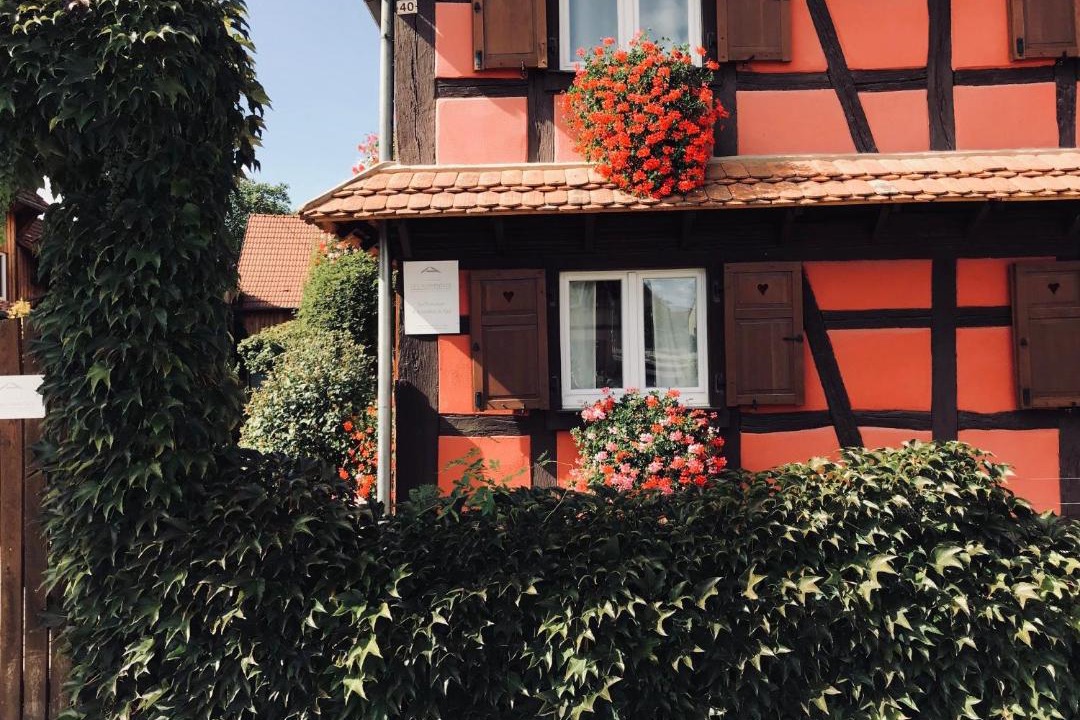 Photo of Buildings in Bolsenheim
