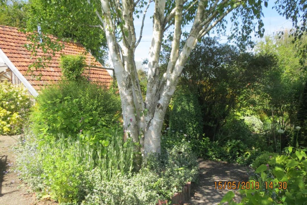 Photo of Others in Sartilly-Baie-Bocage
