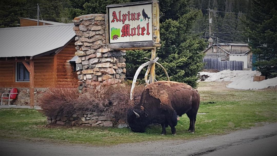 Photo of Others in Cooke City-Silver Gate