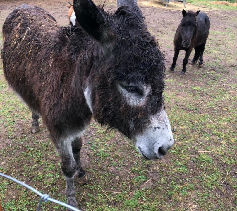 Photo of Others in Chateauvieux