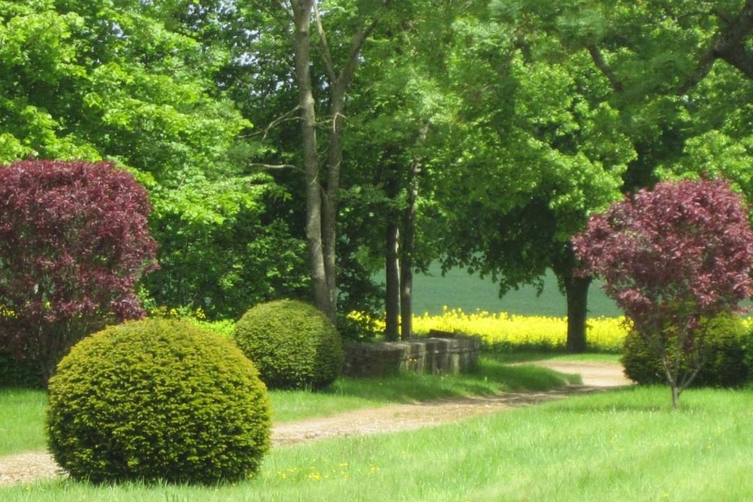 Photo of Others in Beaufai