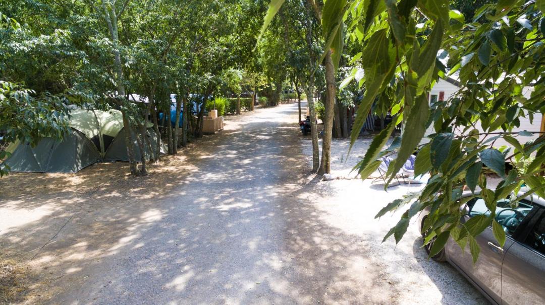 Photo of Outdoor in Sorede