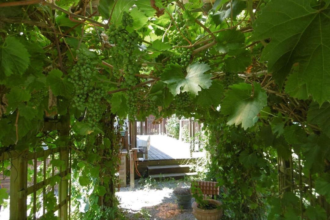 Photo of Others in Sanghen