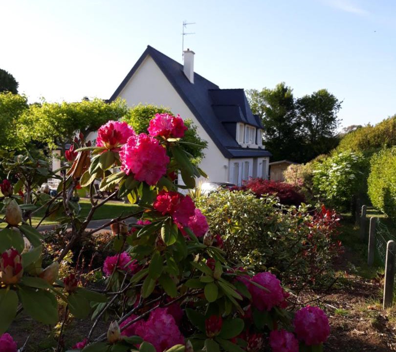 Photo of Others in Gouesnou