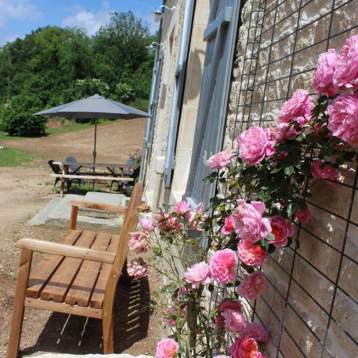 Photo of Others in Echire