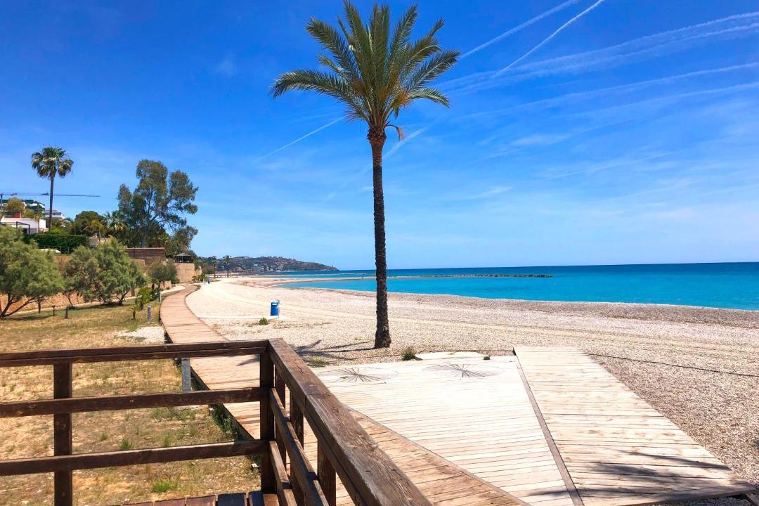 Photo of Others in Benicassim