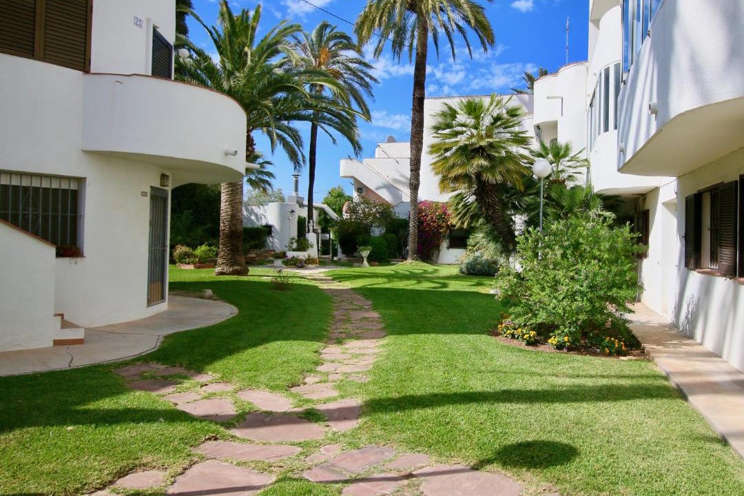 Photo of Others in Denia