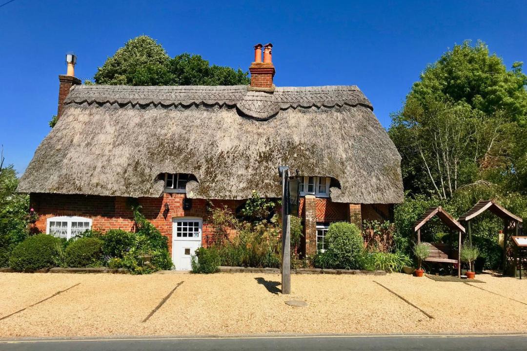 Photo of Others in New Forest District