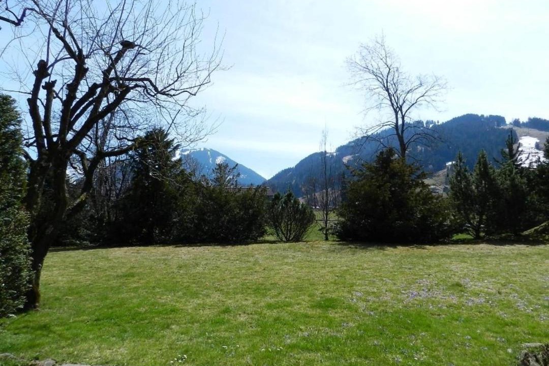 Photo of Others in Saanen