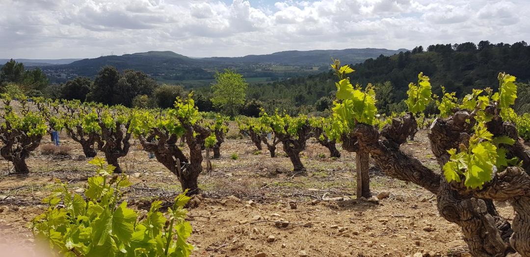 Photo of Others in Saint-Nazaire