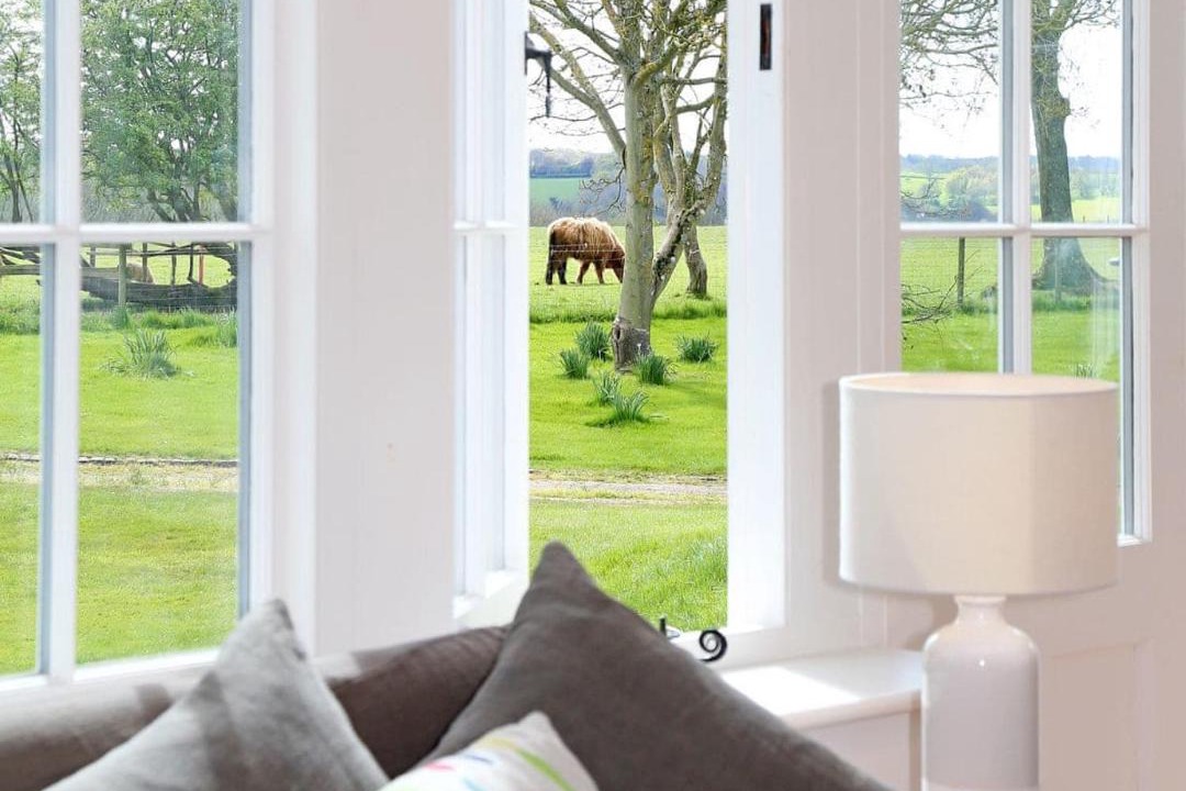 Photo of Others in Denton