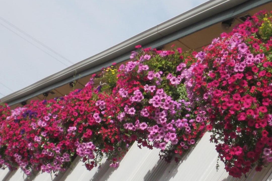 Photo of Others in Pendleton