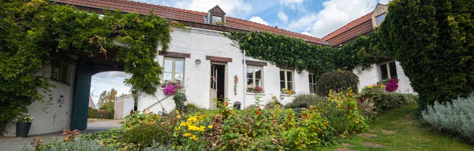 Photo of Others in Santes