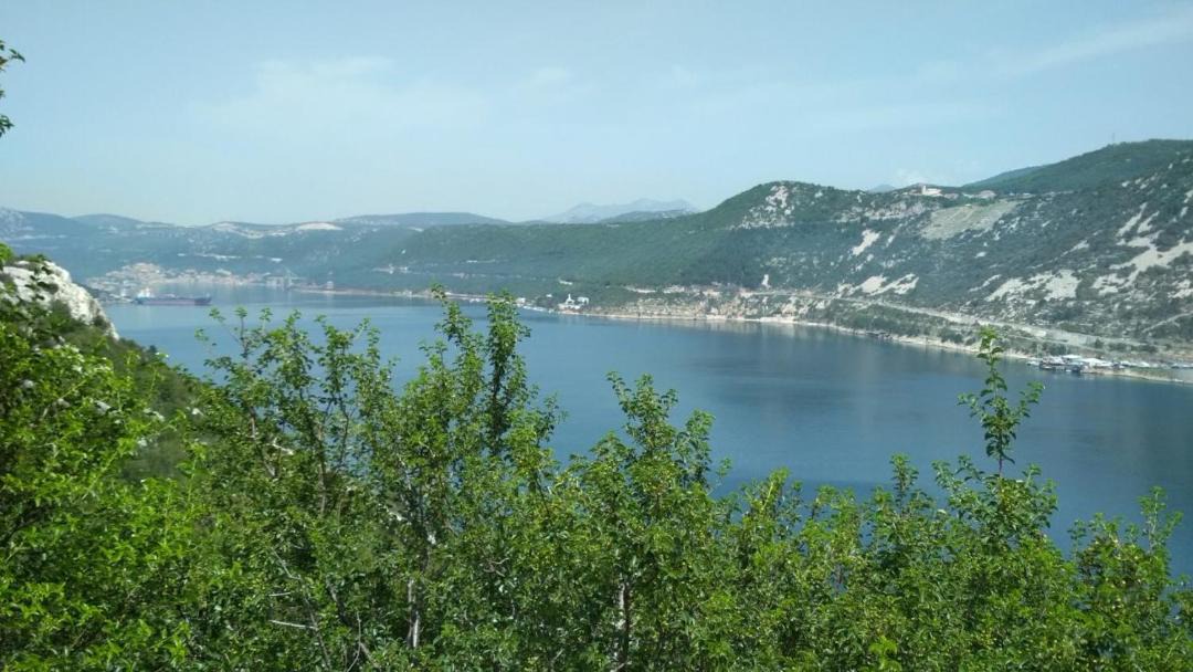 Photo of Others in Kraljevica