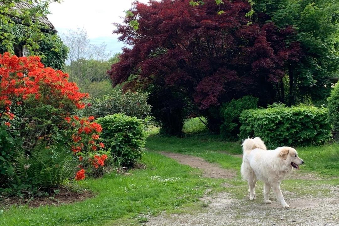 Photo of Others in Lamaziere-Basse