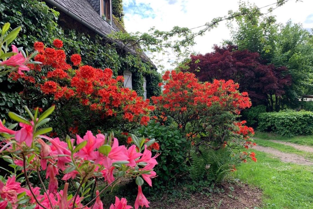 Photo of Others in Lamaziere-Basse