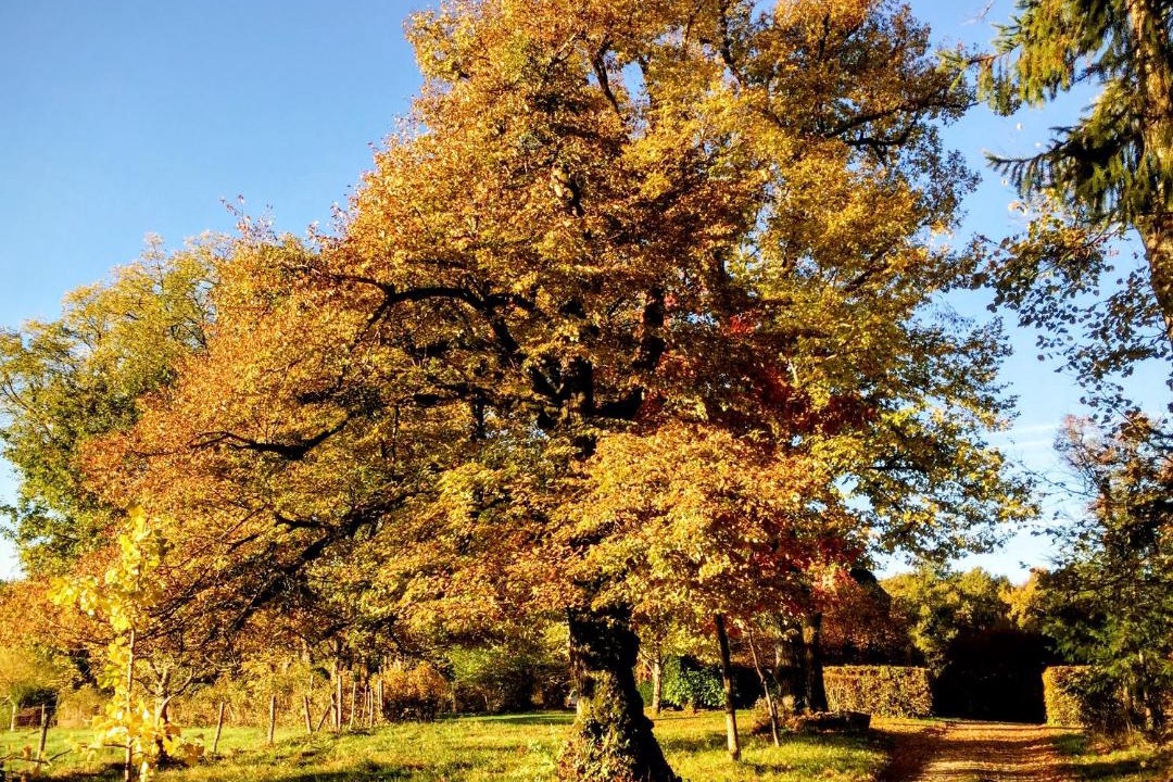 Photo of Outdoor in Lamaziere-Basse