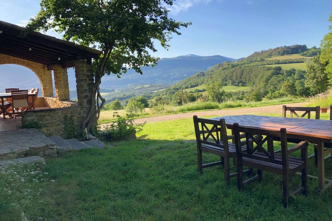 Photo of Others in Comps