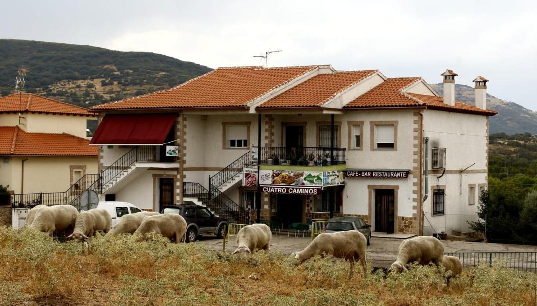 Photo of Others in San Pablo de los Montes